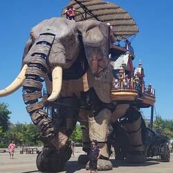 Der geht hier über das Gelände. Das ganze Gelände ist offen, nicht wie ein Freizeitpark. Tolle Sache