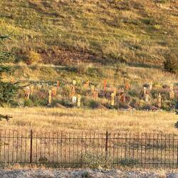 Die Friedhöfe schauen auch ganz anders aus