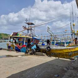 Very cool looking colorful fishing boats