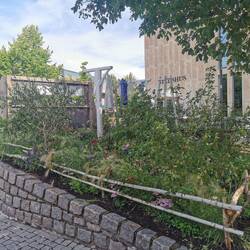 Wäscheleine vor dem Rathaus