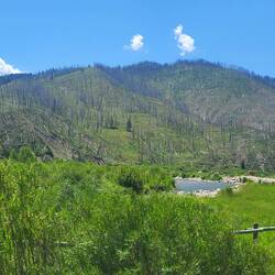 Wir wissen leider nicht ob diese Bäume Käfern, Wind oder beidem zum Opfer gefallen sind