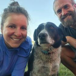 Möchte bei den US Open als Ballhund dabei sein: Murphy