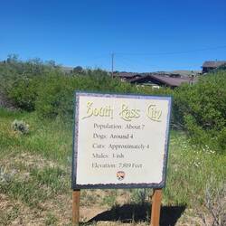 Alles Lügen, wir haben keine einzige Katze gesehen