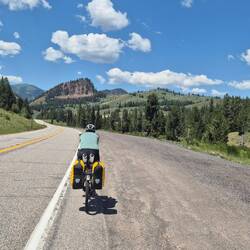 Endlich wieder in den Wäldern