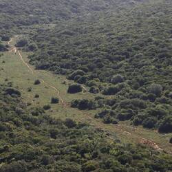 Am Nachmittag durchquere ich den Addo-Nationalpark bis zum nördlichen Eingangstor...