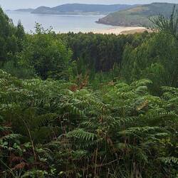 Beautiful coastal views