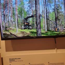 The Scorpion Tree Harvester