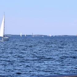 Und plötzlich kommen uns ganz viele Segler entgegen.