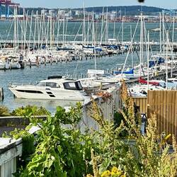 Wir haben einen Platz am Kopfsteg ohne Dalben gefunden. Sehr komfortabel!