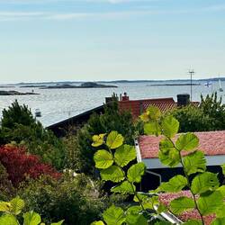 Selbst in der Einfahrt nach Göteborg gibt es Schären ohne Ende.