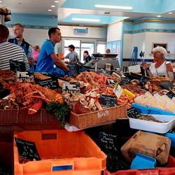 Fischmarkt in Le Treport