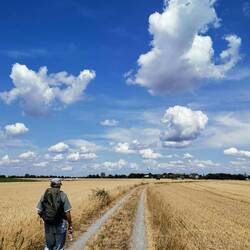 Towards the clouds.....