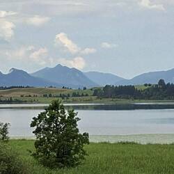Bannsee (neben Forggensee)
