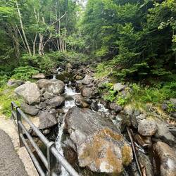 The waterfall we couldn't find was somewhere higher up this stream