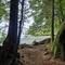 After-rain walk through forest with views of sea
