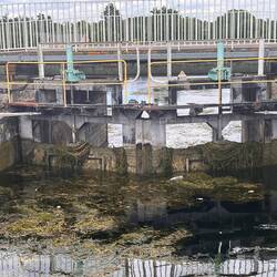 Verkrautetes Schleusentor in Toul