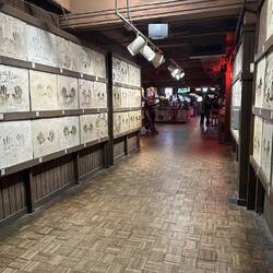 Billy Bobs Honky Tonk. The world's largest. Capacity for 6000 people