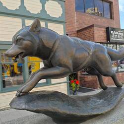 Irgendwie startet (oder kommt bloß durch?) das Iditarod Hundeschlittenrennen hier