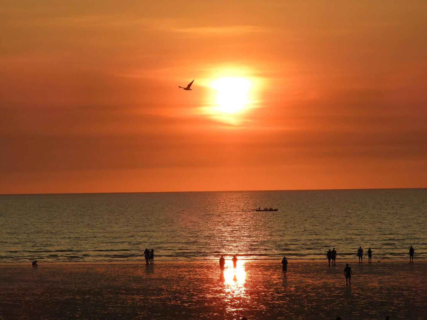 Darwin sunset