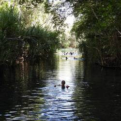 Floating down creek at Berry Springs