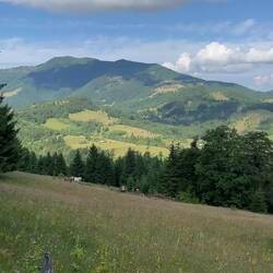 Konzert mit Ausblick