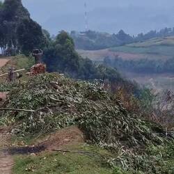 Mobiles Sägewerk in Uganda
