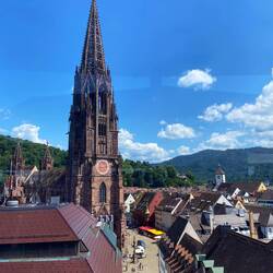 Toller Ausblick zum Münsterplatz