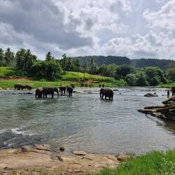 Beautiful setting, if you don't think about the 300 people behind you all gorking as well 🤣😂