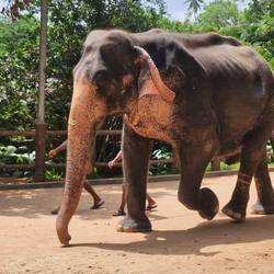 They are big up close, was cool to see them