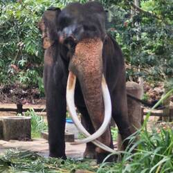 I didn't give him shit but said thanks for the photo 🤣😂