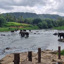 Cool spot for them but they only get a little bit of free time to roam