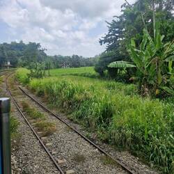 heading into greener pastures