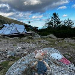 Wandermaus gut angekommen 🙂