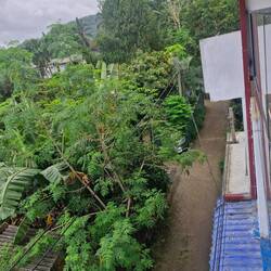 Bit of greenery around but still very built up