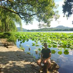 Mais ce que je préfère, ce sont les lotus