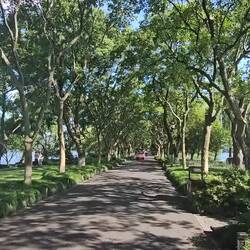 Mais heureusement, ils ont pensé aux voiturettes...🤑🤔😮‍💨