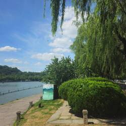 Dialogue du Cerf volant à l'ombre des saules, avec la pagode pluricentenaire sur la colline