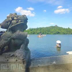 Des dragons gardiens croquent même des îlots !