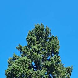Blauer Himmel und ein wenig grün