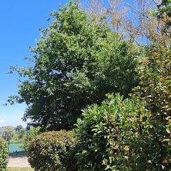 Wasser, Grün und blauer Himmel