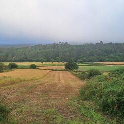 I'm really going to miss the Spanish countryside