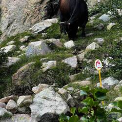 Erste Zeichen der Zivilisation