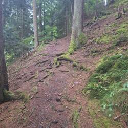 Mega tolle Trails