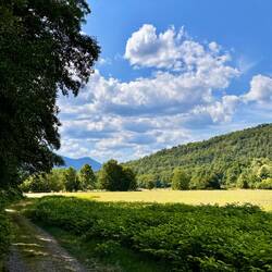 Unser holpriger Feldweg