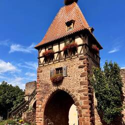 Einziges Foto aus Châtenois, das mehr zu bieten hat.