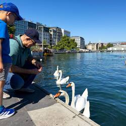 Mateo generously shared pieces of his bread so Mui could feed the swans — Geneva.