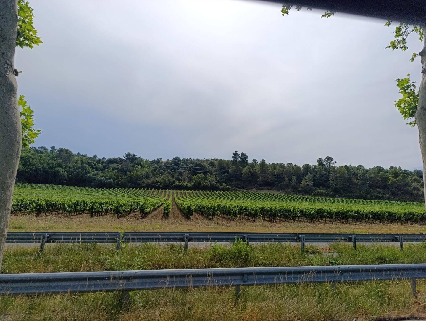 Wir befinden uns wieder im Weinland (Terre de Vins)