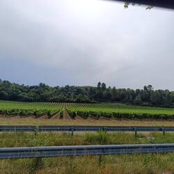 Wir befinden uns wieder im Weinland (Terre de Vins)