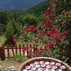 Einkehr beim Abstieg