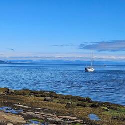 Port Hardy - view of harbor and the Pacific